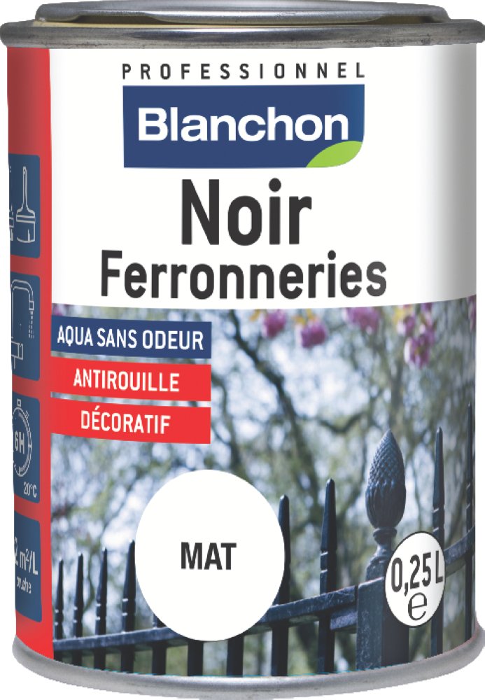 Noir Ferronneries Extérieures 